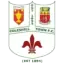 Coleshill Town