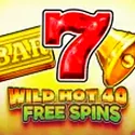 Wild Hot 40 Free Spins