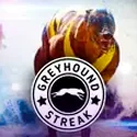 Greyhounds Streak