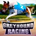Greyhound Racing