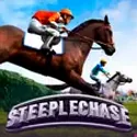 Steeplechase