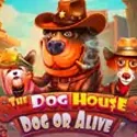 The Dog House - Dog or Alive