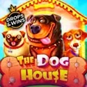 The Dog House